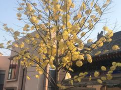 -西安曲江寒窑遗址公园