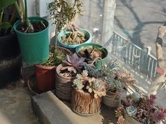 -無用生活空间(北京店)