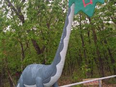-茅兰沟国家森林公园