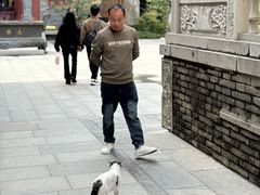 -西安大兴善寺