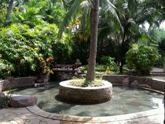 -三亚珠江南田温泉度假区