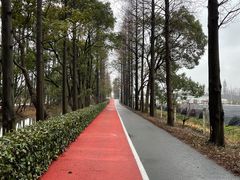 -上海长兴岛郊野公园