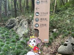 -灵栖洞天