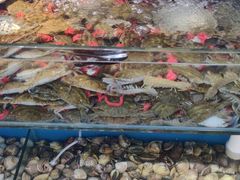 -港畔赶海蒸汽海鲜烧烤自助(仙螺岛店)