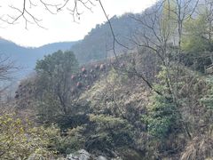 -神农架景区