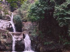 -鼎湖山风景区