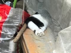 -茶香书香私房菜(北台一路店)