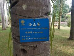 -中国科学院西双版纳热带植物园