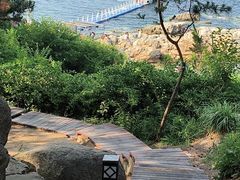-养马岛旅游度假区