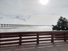 -宝安西湾红树林湿地公园