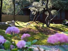 -灵隐飞来峰景区