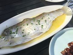 -柳莺湖上·湖景餐厅·江南菜(西湖店)