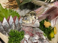 小竹荚鱼刺身-九州酒场ひこぞう(2号店)