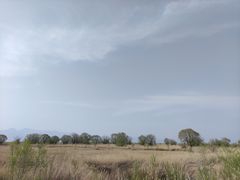 -哈素海