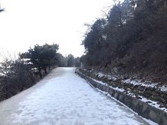-香山公园
