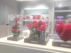 -ROSEONLY诺誓(国际广场购物中心店)