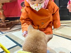 -猫色咖啡·猫咖