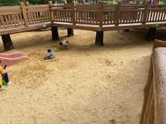 -荔湾区儿童公园