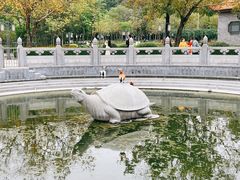 -顺峰山公园