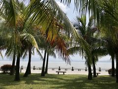 -深圳湾公园(南山区)