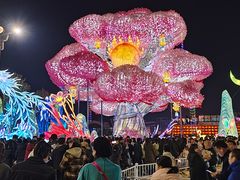 -淄博花灯齐彩城