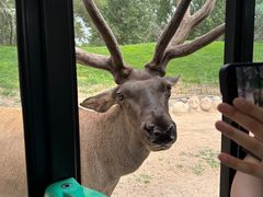 -北京野生动物园