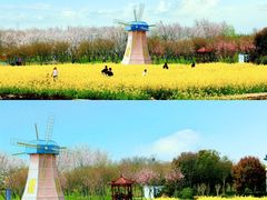 -武汉紫薇都市田园