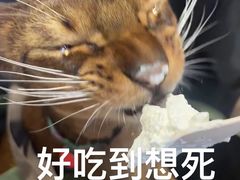 -九妹农家大铁锅东北菜(江湾店)