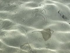 -卡帕莱度假村(西巴丹岛)