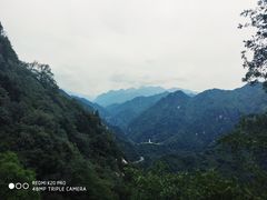 -沣峪口