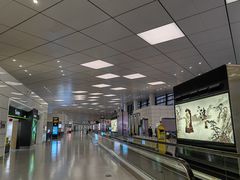 -郑州新郑国际机场-T2航站楼