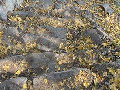 -北京鹫峰国家森林公园