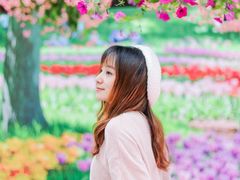 -百万葵园