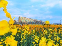 -中国天府农业博览园