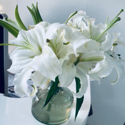 -安那般那皮肤年轻化ANAPANA