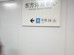 -东方体育中心(地铁站)