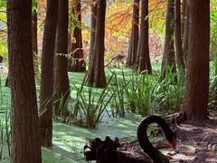 -昆山城市生态森林公园