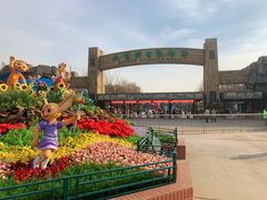 -北京野生动物园