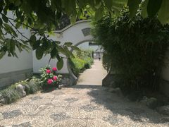-金庸书院