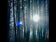 -硗碛藏寨·神木垒景区