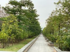 -广东金融学院(校本部)