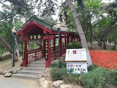 景点-沈阳南湖公园