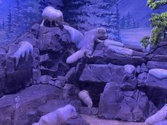 -上海海昌海洋公园