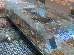 -天盛海鲜烧烤大排档·本地小海鲜·牟平腿穗子(幸福店)