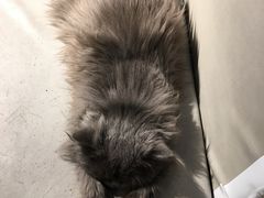 -小时光咖啡馆(开森度假森林店)