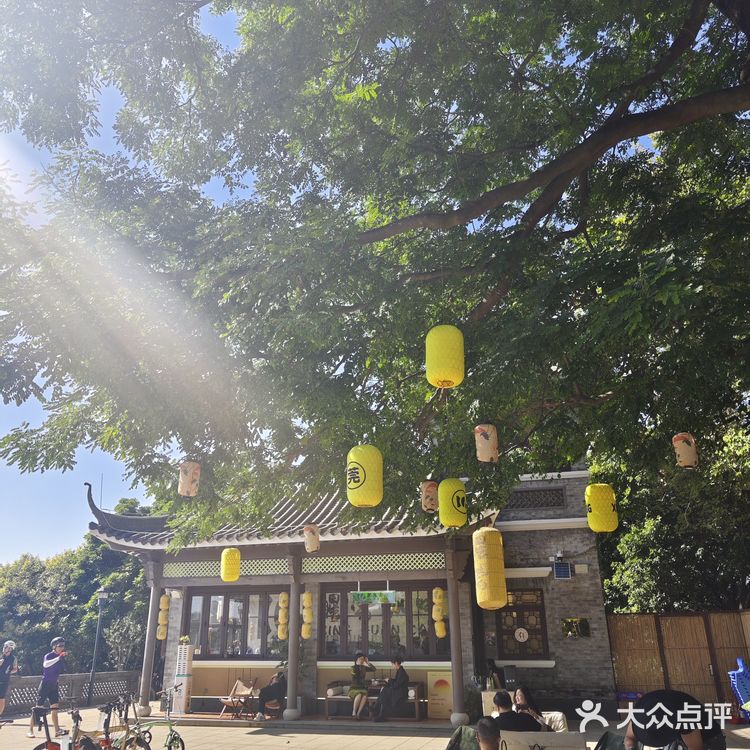 醒莞咖啡☕同沙水库里的中式咖啡店