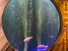 -莉莉海堂HAITANG·烤鸭(国贸商城店)