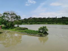 -广东花都湖国家湿地公园