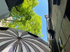 景观位-IL TEATRO 精品意大利餐厅