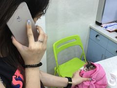 -瑞派动物医院·猫专科·至诚(江南中分院)